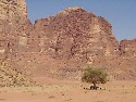 Wadi-Rum